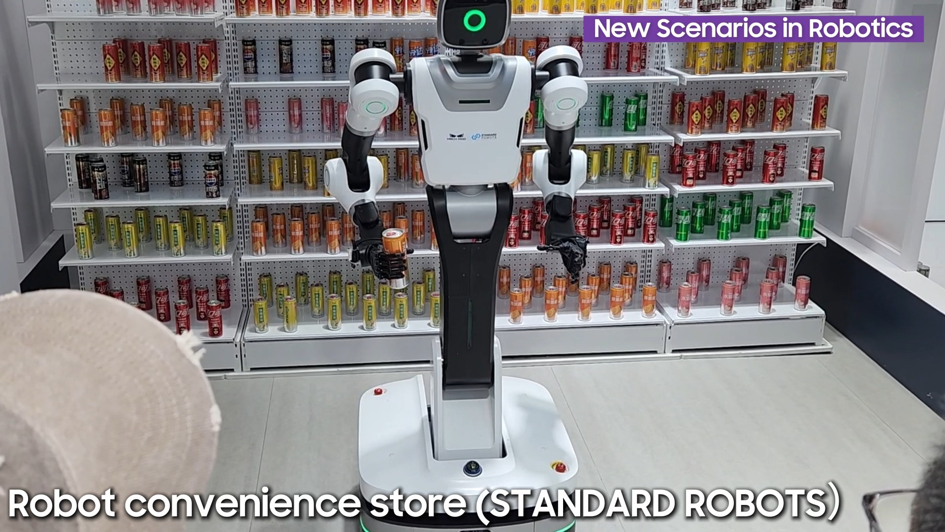 2025Living with AI in China 视频封面